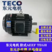 雲翼商貿 {台灣公司貨 可打統編}TECO東元電機2.2KW 3.7KW 5.5KW 7.5KW臥式AEEF TEGH制動剎車馬達