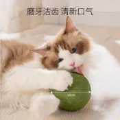 🔥限時特惠🔥貓薄荷球磨牙玩具貓咪零食舔舔樂木天蓼自嗨神器