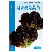 (店+)【天橙種子】福壽拔葉萵苣種子 紅葉A菜 約3公克 全年可播種 葉菜類種子 興農種苗 家庭園藝  彩色原包裝