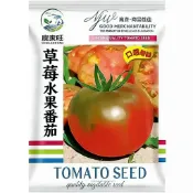 【台灣現貨】原裝草莓水果番茄種子 玉女小番茄 桃太郎番茄 水果番茄 可食用番茄 家庭菜園種子 陽台盆栽種植