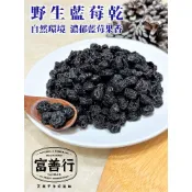 【富善行】野生藍莓乾【一千萬產品責任險】台南名產/天然果乾/零食/禮盒送禮/伴手禮/非蜜餞