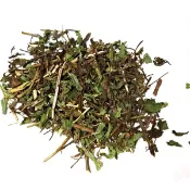 【蔘大王】台灣生機薄荷葉 600g/組「道地台灣產 幫助消化 芳香泡茶用 上班事半功倍」