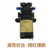 台灣出貨🚚噴霧器 12伏隔膜泵 馬達配件 農用 通用 大功率 高壓水泵 農用噴霧器 抽水泵 農用噴霧機 農用