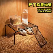 蘆丁雞造景爬梯＋平台 雞舍裝飾小平台 飼料水壺置物架 多功能站台 蘆丁雞平臺餐桌鏤空耐用寵物造景用品盧丁雞飼養分層置物架