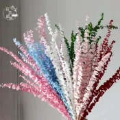 (店+)真花 漂色 尤加利 永生花 乾燥花批發 銅錢桉 diy 婚慶 家居裝飾 乾花 婚禮佈置 捧花 乾燥花 乾燥花批發