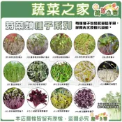 (店+)【蔬菜之家】芽菜類種子系列(各包裝數量詳見內文及圖片說明苜蓿芽 蘿蔔嬰 青花椰菜芽 小麥草 豌豆嬰 紫高麗菜芽)
