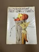 日版 ILLUSTRATIONS OF FRUIT ＆ VEGETTABLES  水果和蔬菜插圖 T黑上
