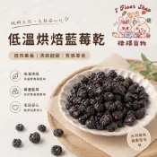 【低溫烘焙】兔子零食 天竺鼠零食 藍莓乾 倉鼠零食 水果乾