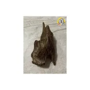 (店+)【周錦香】沉水~加里曼丹沉香【周錦香】約12.5g 熟結 倒架 果香甘甜帶涼氣【入水即沉】加里萬丹 薰香 煎香 香道 把玩件 水沉