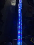 瑕疵品便宜賣:6尺水族燈(2白一紅1藍-圖片曝光調暗-2700流明)運輸過程中造成的損害如圖，含開關連接線不含跨架要另購