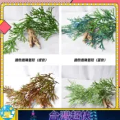  ⚡ 臺南出貨 ⚡⚡在臺出貨⚡人造壁掛 仿真鹿角蕨壁掛 綠色假植物 蕨類植物 牆配材裝飾藤條 人造植物 綠植藤條 藤蔓假