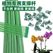 【植具上新】金錢樹支撐桿 綠色夾子 花支架 保護種植 包塑鐵絲固定桿 綠蘿防倒伏