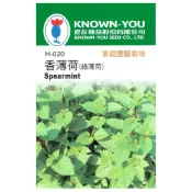 (店+)【天橙種子】香薄荷種子H-020 約300粒 綠薄荷 荷蘭薄荷 香草種子 農友種苗 彩色原包裝