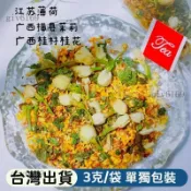 臺品質✨特級茶包 茉莉薄荷茶 3公克/袋 獨立包裝 桂花 薄荷 清新 花草 養生茶 花茶 養生茶 泡水 泡茶 家