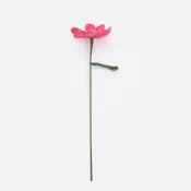 (店+)【HOLA】奧可利鉤針毛線花插波斯菊43cm 桃紅