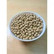 【全盛米行】非基因改造黃豆一斤（600g)