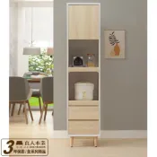 日本直人木業 【直人木業】綠建材彩妝板溫馨系列電器櫃45公分｜#熱門收藏家具