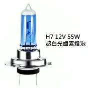ALL SPLENDID H7 12V 55W 超白光 鹵素燈泡 轎車 機車大燈 霧燈H1 H3 H4 H7 H8 H11 9005 9006