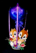 X射線 精緻禮品 奇奇蒂蒂抱花生 熱氣球，捧花/金莎花束/熱氣球/畢業花束/亮燈花束/情人節禮物/西洋情人節/婚禮佈置/婚禮小物/生日禮物/派對慶生/告白/求婚，X射線【Y291809】