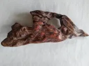 (已讓)臺灣紅檜倒閣硬骨瘤殼珍賞件　極重極香收藏價值高　雷擊木倒格木瘤木榴樹瘤樹榴木雕瘤沉水肖楠黃檜木聚寶盆土豆瘤鳳尾瘤