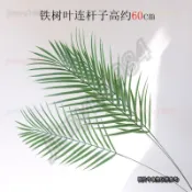 仿真樹葉龜背葉子拍照道具攝影背景擺拍裝飾拍攝道具 仿真葉鐵樹葉蕨類植物綠植散尾葵塑膠裝飾戶外家居葉道具s09133554