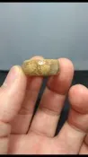 玉琢坊-珊瑚玉.菊花玉 戒圈