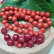 紅珊珊。紅樹枝momo橘紅8×7.8,阿卡正紅9.4×7（2顆1份)