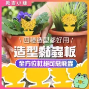 盆栽黏蟲紙 小黑飛剋星 黃色黏蟲板 造型誘蟲板 物理防治 多肉植物 園藝用品 雙面黏膠 蚜蟲薊馬 瓜果蠅 補蠅紙 地插拔