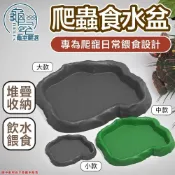 (店+)龜室 爬蟲食盆 水盆 守宮 鬆獅蜥蜴 泡澡泡水 兩棲角蛙陸龜烏龜蛇麵包蟲大麥蟲皮防逃脫豹紋肥尾爬寵蜘蛛