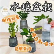 (店+)【璟采職人】水培塑膠盆 水培花盆 水培盆栽 懶人盆栽 水耕盆 自動吸水 塑膠花盆 盆栽容器 水耕花盆 樹脂花盆 盆器