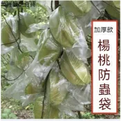【華隆興盛百貨】加厚楊桃防蟲水果袋防蟲防鳥促生長保護透明薄膜專用透氣通用套袋