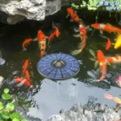 港灣小站 【太陽能免電】增氧泵 漂浮增氧機 魚缸增氧 水族打氣 戶外魚池 庭院池塘 太陽能供電 無需電池 便攜輕巧 亞馬遜熱銷款