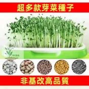 百花園藝 （超多款芽菜種子）非基改高品質豆芽菜種子紙上種菜水培油葵 空心菜 苜蓿 青江菜 莧菜 綠豆多次采收 快速收成