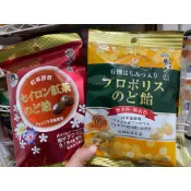 🍬（現貨）日本-榮太樓本舖系列糖果（十品目潤喉糖、梅子鹽味糖）
