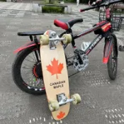 ✨臺灣出貨✨carver陸地板美國刷街免蹬模擬滑雪yow代步滑板衝浪衝浪板進口
