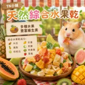 天然綜合水果乾 倉鼠零食 倉鼠飼料 寵物鼠主食 老鼠 三線鼠 楓葉鼠 黃金鼠 鼠飼料