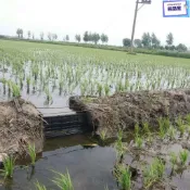 名品屋511❄️定水位調節稻田農田水田小閘門池口放水口閘閥排水渠灌溉渠道魚塘-n7706127010