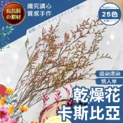 【隔日送達🚀】永生卡斯比亞 永生花 乾燥花 不凋花永生花 手作花浮游花 永生花材 捧花攝影道具 永生 室內裝飾