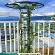 曲線美QXM居家 速發免運園藝傘形玫瑰爬藤架月季鐵線蓮攀藤蘑菇薔薇花架綠植支架桿戶外qxm4900