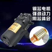 12V農用電動噴霧器水泵隔膜泵智能高壓泵大功率噴藥機打藥機馬達