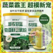 【歐萊雅形象店】羽衣甘藍奇亞籽豆漿粉營養高蛋白高膳食纖維代餐粉罐裝健身飽腹