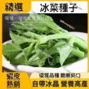 蝦皮熱銷 水晶冰菜種子 薺薺菜種子 超級蔬菜涼拌冰菜種子撒一片吃一年 歐洲進口蔬菜種子 入口即化 清涼爽口蔬菜 菜籽