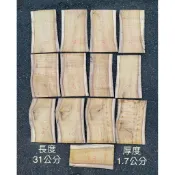 台灣櫸【紅雞油】原木木片/藝品陶藝擺設底座/置物板/木質墊片/雕刻裝飾用材/鹿角蕨蘭類栽植板