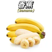 嘉儀現貨（香蕉種子）皇帝蕉樹種子 香蕉 粉蕉 小米蕉 矮化香蕉種子 蘋果蕉紅香蕉小米蕉粉蕉抗寒盆栽種植水果樹種子
