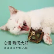 貓咪玩具木天蓼球磨牙棒貓薄荷球幼小貓玲瓏球自嗨貓咪用品