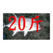 【仿生獸】 PE線 8股5彩 磯釣線 路亞竿 米諾 波趴 釣具 釣魚線 大力馬線 布線 1百到1千米連盤