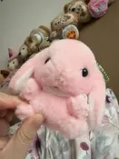 日本amuse正版粉色垂耳兔掛件，帶吊牌，幾乎全新，毛絨手感軟糯，胸前有蕾絲裝飾，超可愛！尺寸適中，適合掛包包、收藏、擺