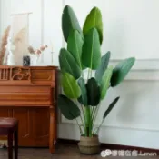 林之舍家居 假盆景 現代仿真植物裝飾客廳假綠植室內北歐天堂鳥擺件大盆栽落地旅人蕉 免運開發票