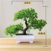 協貿國際日用品生活12館 室內仿真綠植套裝盆景客廳裝飾品擺件發財樹盆栽植物創意塑料假花