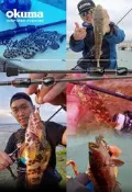 免運費 臨海釣具 二館 24H營業 OKUMA - ROCK BLADE 岩刃 路亞竿 旅行竿 偷跑竿 根魚竿